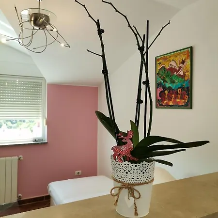 Kira Apartment *